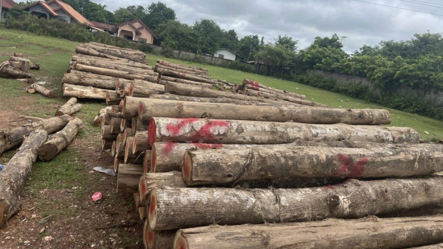 1 khối gỗ bằng bao nhiêu kg