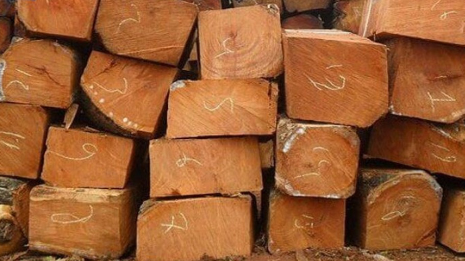 Công thức tính khối lượng của 1m3 gỗ