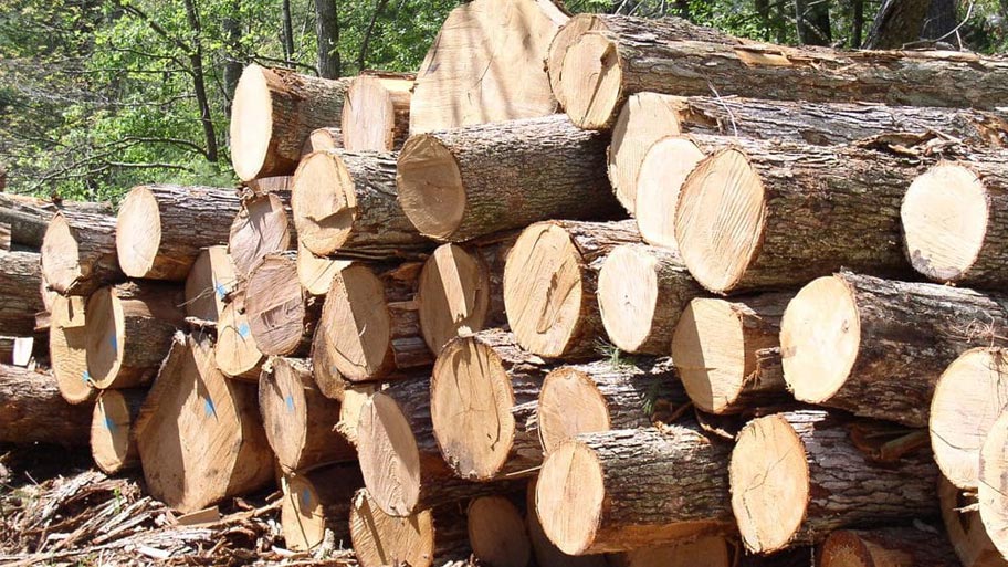 Một khối gỗ là gì